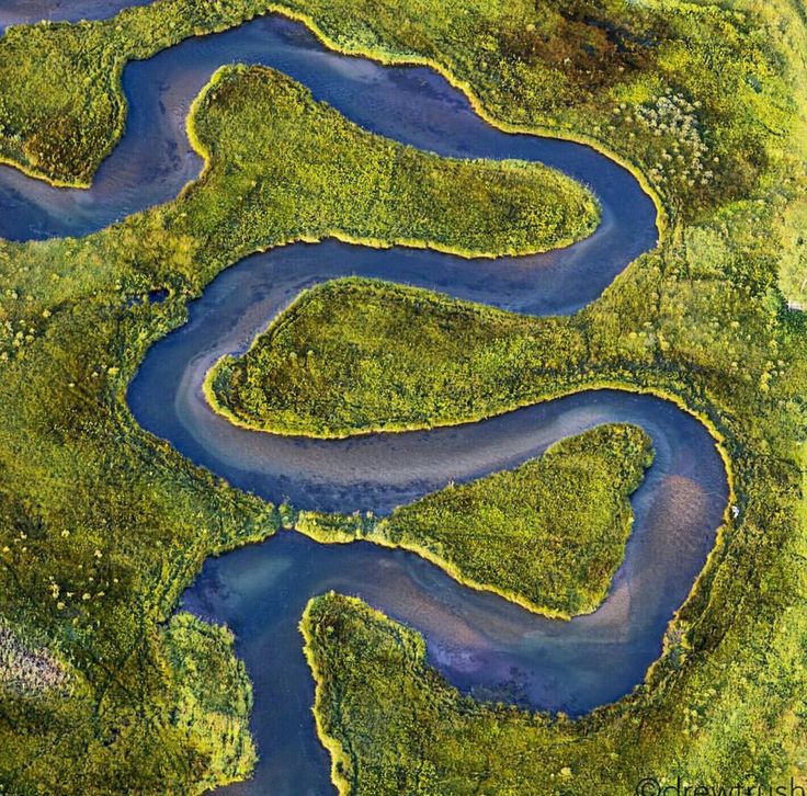 Aerial of a blue river meandering in tight loops through green wetland