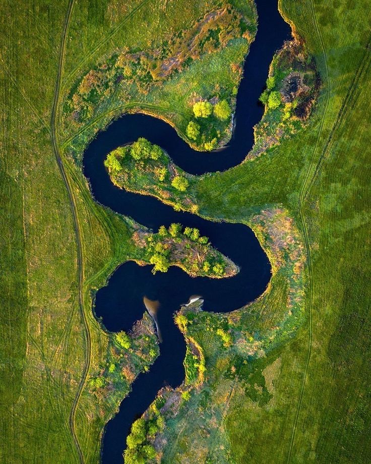 Aerial of a dark serpentine river snaking through bright green fields