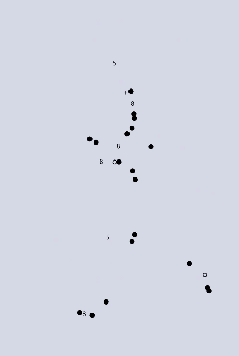 Animated scattered points drifting across a grey field