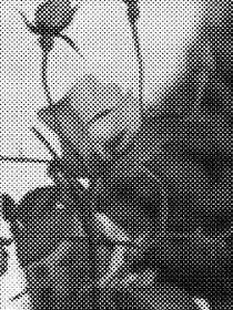 Coarse black-and-white halftone of a blurred photographic image